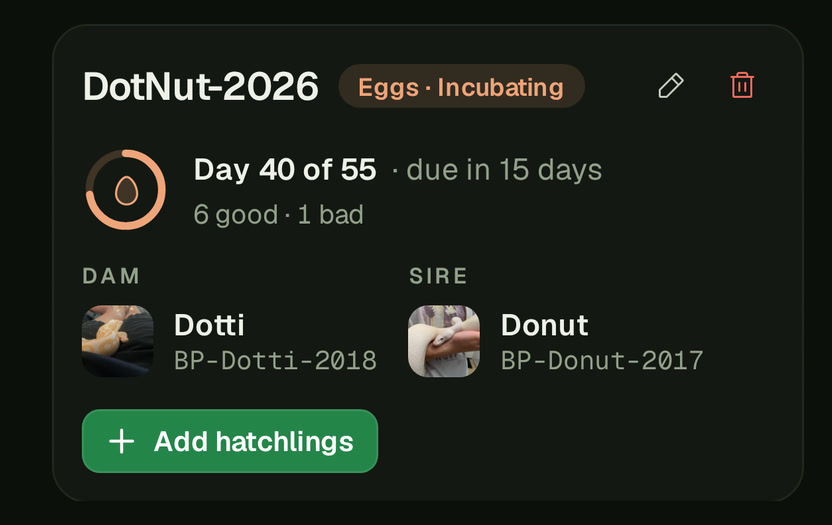 The DotNut-2026 clutch's card on a phone: its Eggs · Incubating icon, a pencil and a trash can, a ring with Day 40 of 55 and · due in 15 days, 6 good · 1 bad, Dam Dotti and Sire Donut with their faces, and the green Add hatchlings button.