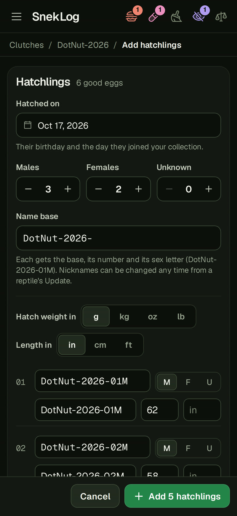 Add hatchlings for DotNut-2026 on a phone: the Hatchlings card with 6 good eggs beside its title, Hatched on today, 3 males, 2 females and 0 unknown, the name base DotNut-2026-, then the roster's first rows, DotNut-2026-01M and DotNut-2026-02M with hatch weights of 62 and 58 g, under the Hatch weight in and Length in buttons.