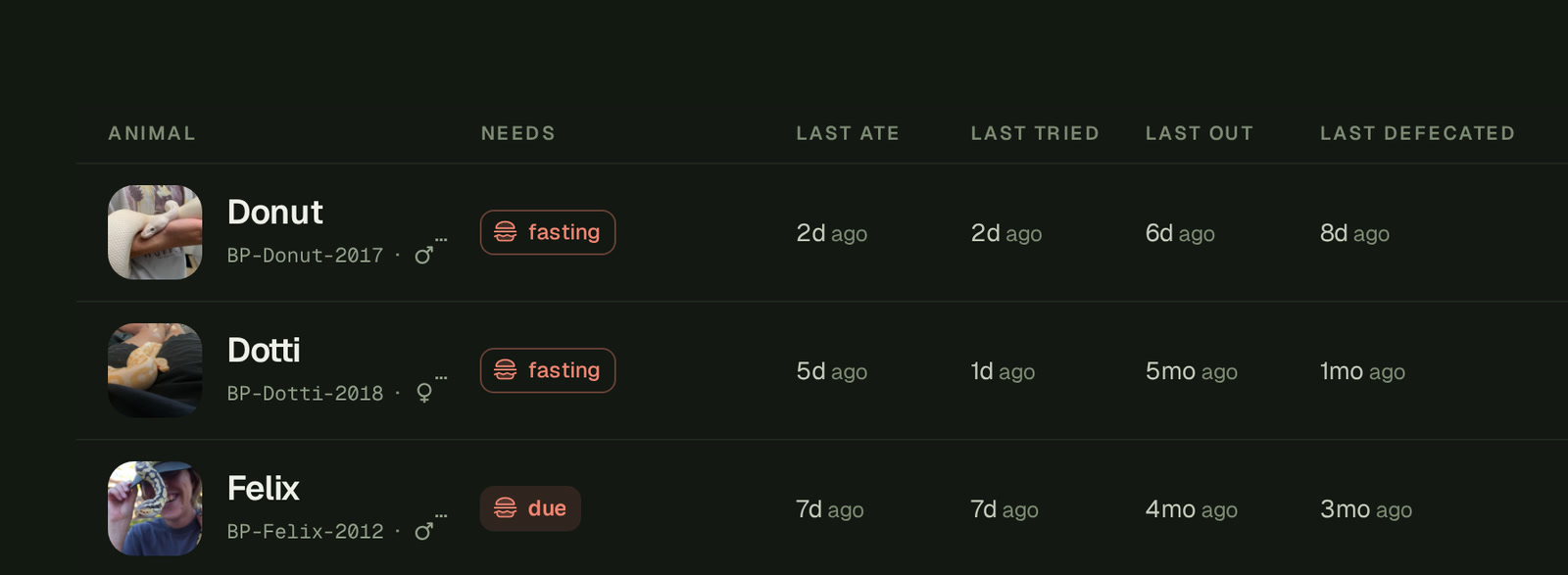 Three rows of BP Rack on Home's rows layout on a computer, under the column heads Animal, Needs, Last ate, Last tried, Last out and Last defecated: Donut and Dotti with fasting icons and Felix with a due icon, then how long since each last ate, last tried, was last out and last defecated.