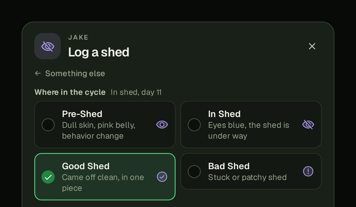 Jake's Log a shed dialog on a computer: beside Where in the cycle it reads In shed, day 11, and Good Shed is picked to start. The four stages, two by two, each have a line under them: Pre-Shed, Dull skin, pink belly, behavior change; In Shed, Eyes blue, the shed is under way; Good Shed, Came off clean, in one piece; Bad Shed, Stuck or patchy shed.
