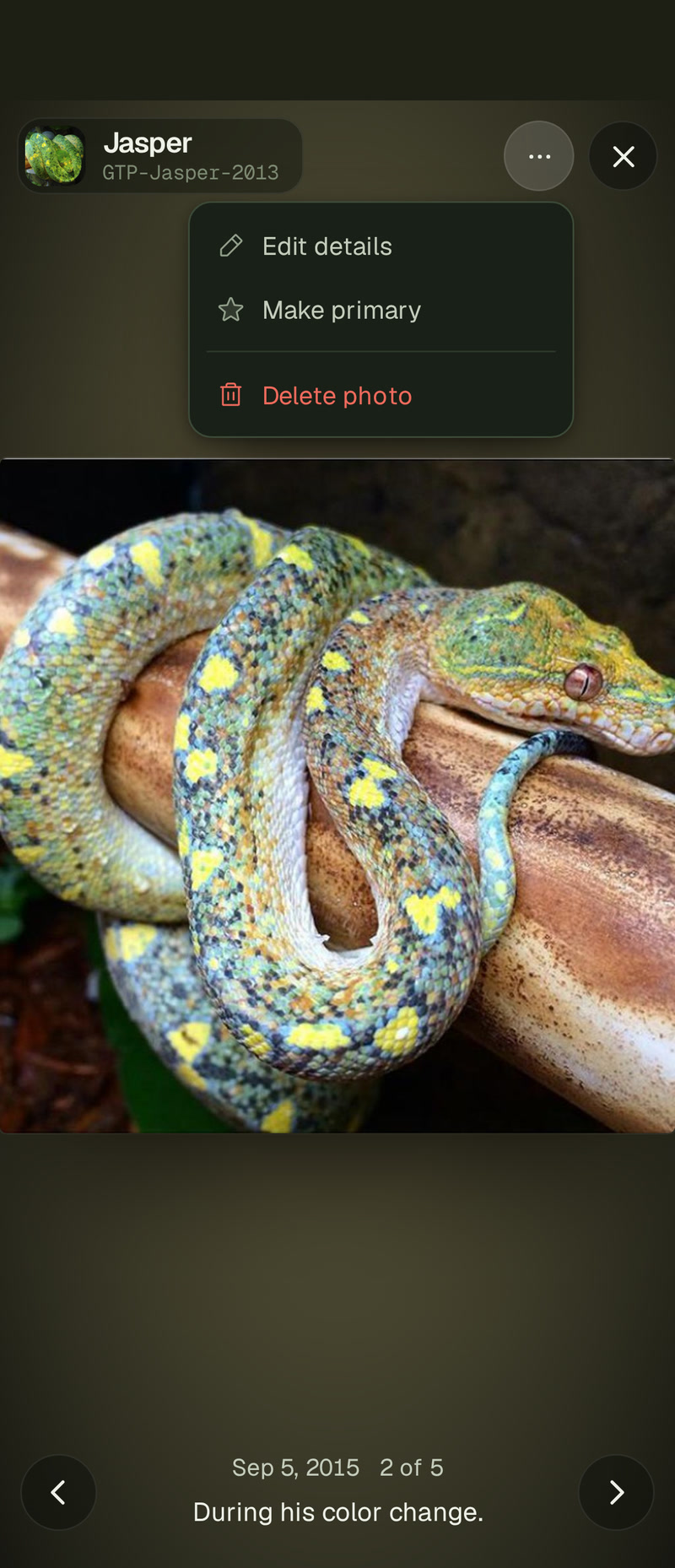 Jasper's second photo in the viewer on a phone, on a glow of its colors, with its menu open under the three dots: Edit details, Make primary and Delete photo.