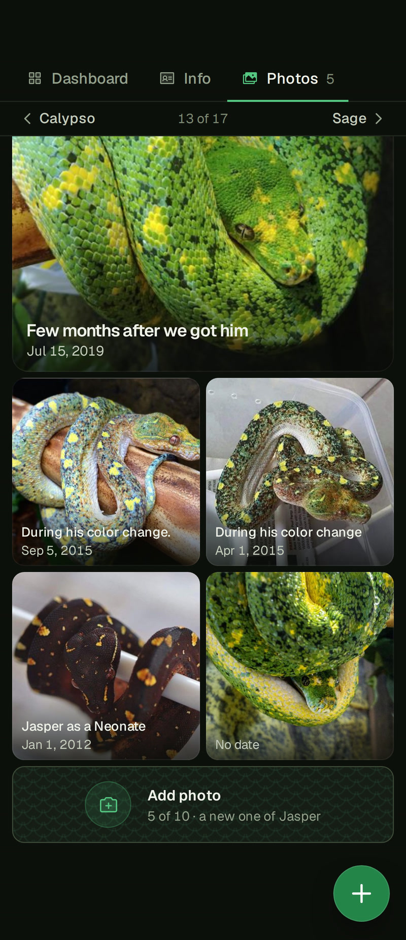 Jasper's Photos tab on a phone, scrolled to its end: the lower part of his main photo, four more photos in pairs, each with its date, and the Add photo bar reading 5 of 10 · a new one of Jasper.