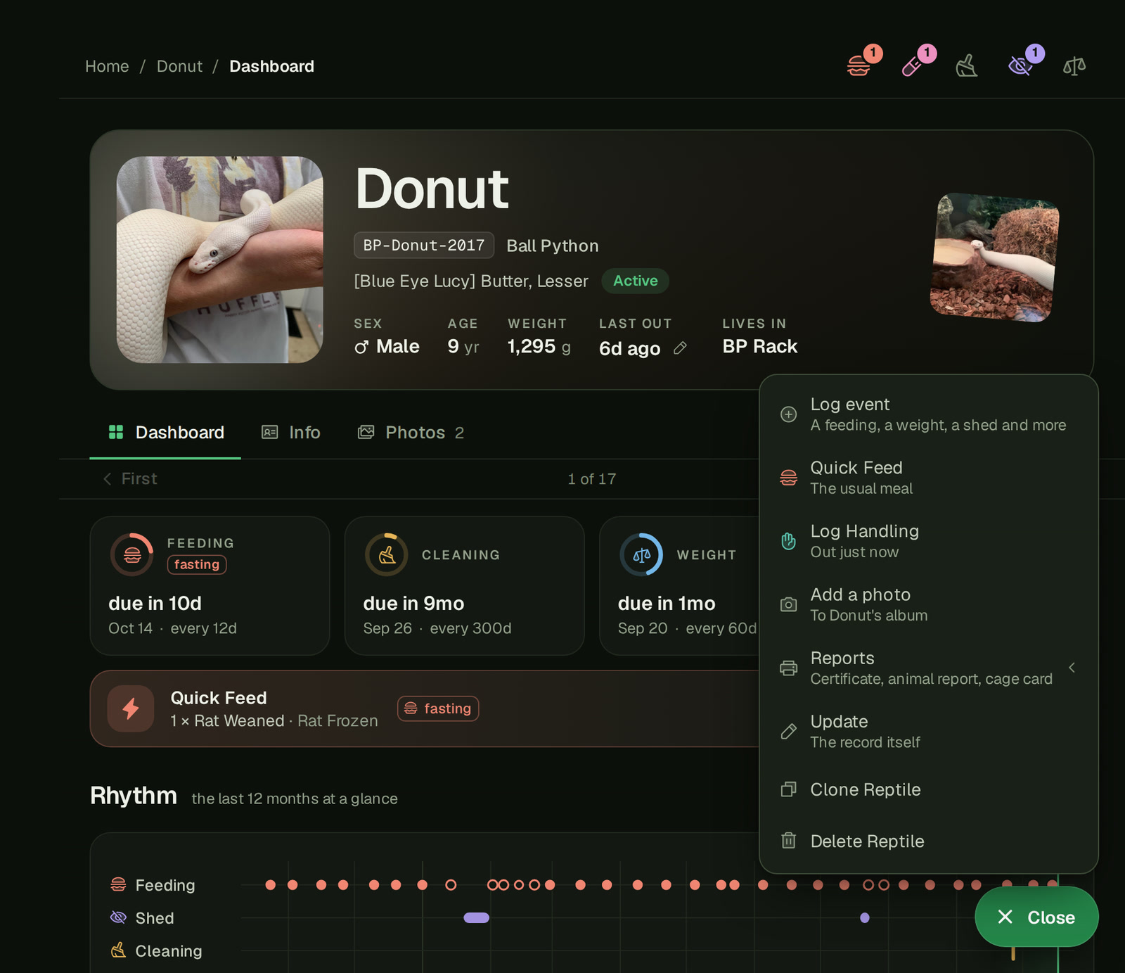Donut's Dashboard on a computer with the More actions menu open: his picture and name, the facts row with the pencil beside Last out, the Dashboard, Info and Photos tabs with the strip under them, the dials, and the menu's eight rows, Log event, Quick Feed, Log Handling, Add a photo, Reports, Update, Clone reptile and Delete reptile.